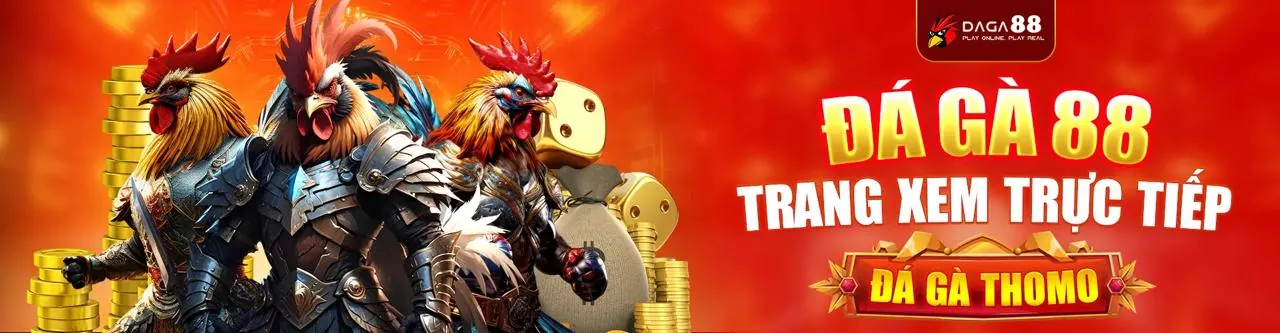 Đá Gà Trực Tuyến 77 ball apk
