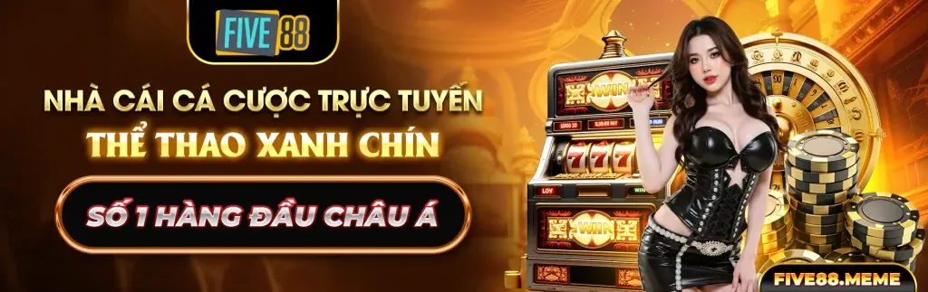 Chính sách cá cược có trách nhiệm của 77 Ball APK